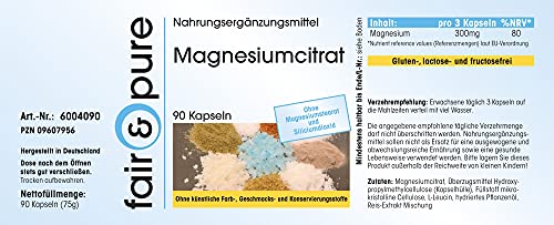 Citrato de Magnesio - Polvo en Cápsulas - 300mg de magnesio puro por dosis diaria - Orgánico - Vegano - Magnesium Citrate - 90 Cápsulas