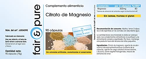 Citrato de Magnesio - Polvo en Cápsulas - 300mg de magnesio puro por dosis diaria - Orgánico - Vegano - Magnesium Citrate - 90 Cápsulas