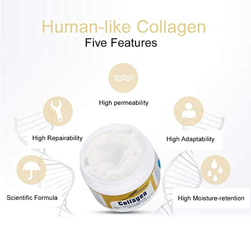 Crema de belleza de colágeno Cuidado de la piel Hidratantes hecha con colágeno 100% puro similar al humano, 80 g Crema Cara hidratante facial antienvejecimiento Crema reafirmante para la piel Arrugas