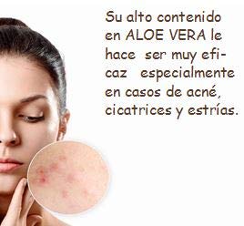 Crema Facial Regeneradora con Aloe Vera - 200 ml - Cicatrizante y Nutritiva para todo tipo de Pieles - Fabricado en España en plantaciones Ecológicas - Cosmética Natural - Verdaloe