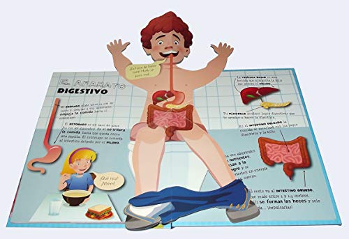 Descubre el cuerpo humano pop-ups