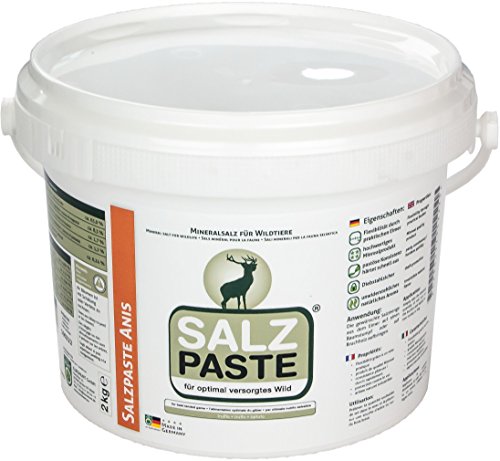 DEUSA Salzpaste Pasta de Sal, Unisex Adulto, Blanco, 2 kg