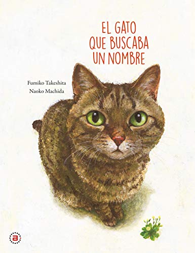 El Gato que buscaba Un Nombre: 1 (Akal Infantil)