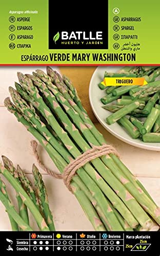 Esparrago Verde MARY WASHINGTON