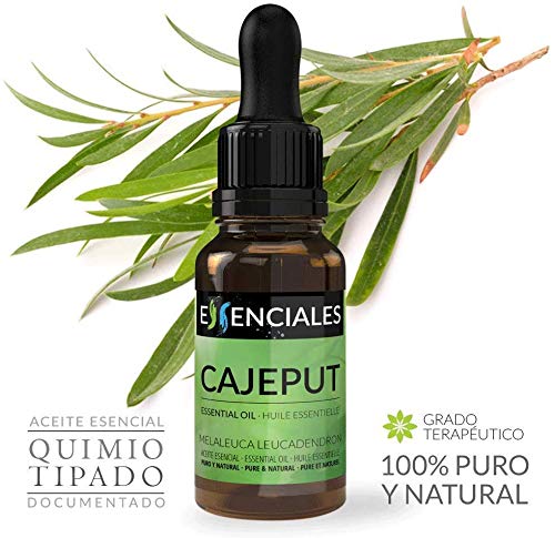 Essenciales - Aceite Esencial de Cajeput, 100% Puro, 30 ml | Aceite Esencial Melaleuca Leucadendron