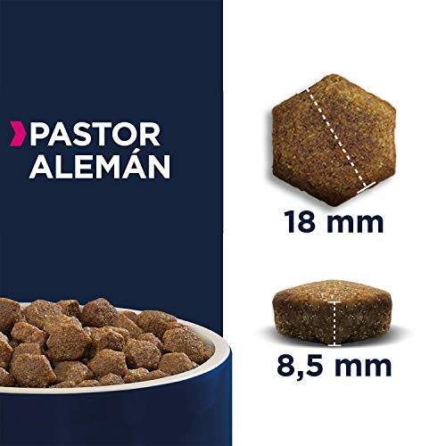 EUKANUBA Breed Specific Alimento seco para perros pastor alemán adultos, alimento para perros óptimamente adaptado a la raza 12 kg