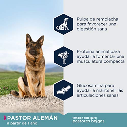 EUKANUBA Breed Specific Alimento seco para perros pastor alemán adultos, alimento para perros óptimamente adaptado a la raza 12 kg