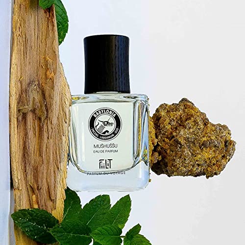 FiiLiT parfum du voyage Agua de perfume Natural MUSHUSSU BABYLONIA, Mixto, Spray recargable, incienso coriáceo de labdamum oud, Amaderado Oriental, para unisex, 50 mL 6.5 x 10.5 x 5