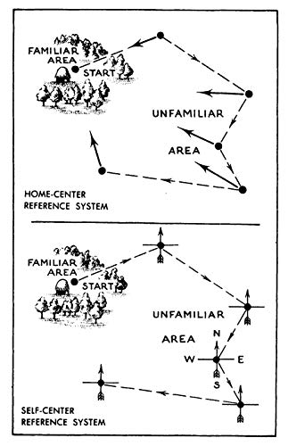 Finding Your Way Without Map or Compass