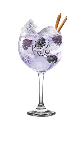 Gin Puerto de Indias - BlackBerry Premium Gin - Ginebra Premium de Mora - 70 cl - 37.5%