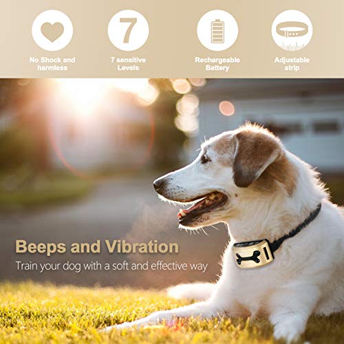 GoPetee Collar Antiladridos Recargable para Perros Pequeños Medianos y Grandes Collar Adiestramiento Recargable para Perros Sonidos y Vibraciones Audibles Chip Avanzado (Hueso)