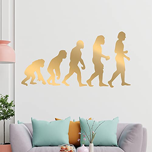 hauptsachebeklebt Kiwi Star Evolution Charles Darwin Pared Adhesivo en 6 tamaños –  – Vinilos Wall Sticker, 91_Gold, 96 x 49 cm