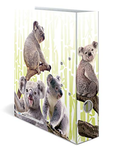 HERMA Archivador de anillas con palanca Animales exóticos con motivo Familia koala, A4, 70 mm, con estampado interior, 1 carpeta con motivos