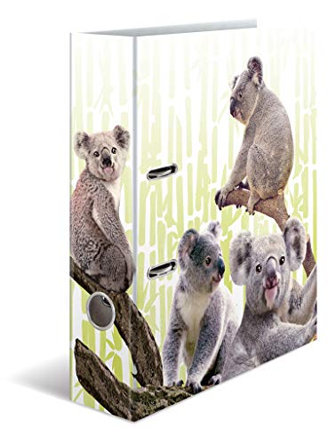 HERMA Archivador de anillas con palanca Animales exóticos con motivo Familia koala, A4, 70 mm, con estampado interior, 1 carpeta con motivos