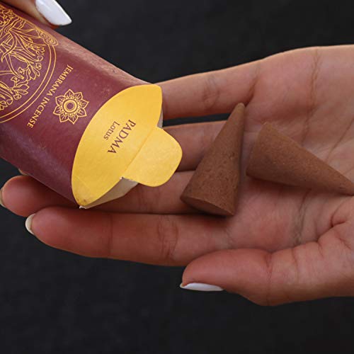 Jembrana Incense - Conos de Incienso Jembrana: Mezcla 6 Aromas (60 Conos en Total), 10 Conos de Loto (Padma), sándalo, Gardenia, Maha Triloka, Raja Harum y Dewi Sai (ámbar), Juegos de Regalo