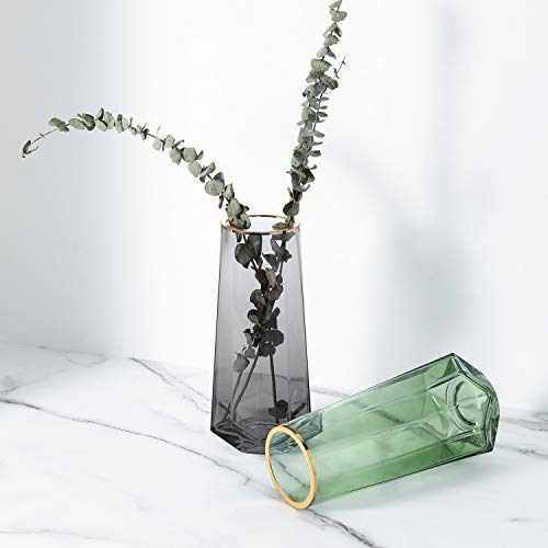 Luxspire Jarrón de Vidrio Cristal Transparente para Plantas de Agua o Flores, Florero de Vidrio en Tono Dorado con Forma de Boca Cristalina,Contenedor Decorativo,Reglao de Navidad – Gris Ahumado