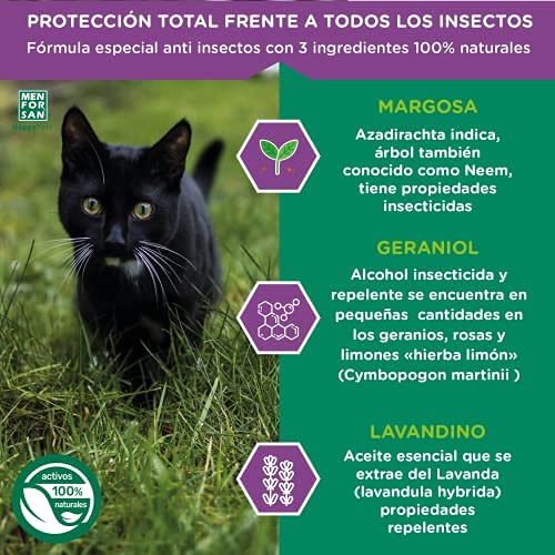 MENFORSAN Pack de 4 Productos antiparasitarios para Gatos, Contiene Cuatro Productos repelentes: Collar, Champú, Spray y Dos Unidades de pipetas Anti Insectos, Combate Cualquier Insecto