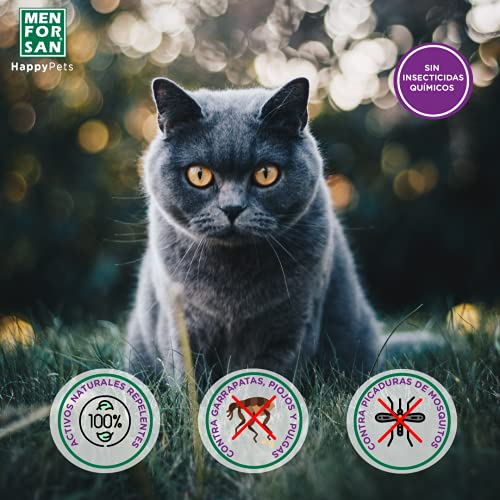 MENFORSAN Pack de 4 Productos antiparasitarios para Gatos, Contiene Cuatro Productos repelentes: Collar, Champú, Spray y Dos Unidades de pipetas Anti Insectos, Combate Cualquier Insecto