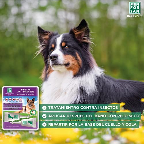 MENFORSAN Pack de 4 Productos antiparasitarios para Perros, Contiene Cuatro Productos repelentes: Collar, Champú, Spray y Dos Unidades de pipetas Anti Insectos, Combate Cualquier Insecto