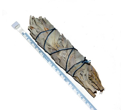 ML-5-6Inch (14,5cm) Californian White Sage smudge stick incenso Salvia Blanca Californiana manojos: Purifica y Limpia Alejando la Energía Negativa de la gente