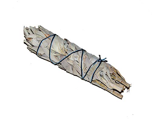 ML-5-6Inch (14,5cm) Californian White Sage smudge stick incenso Salvia Blanca Californiana manojos: Purifica y Limpia Alejando la Energía Negativa de la gente