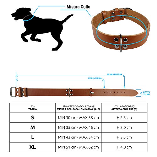 Nuevo Collar de Perro Mediano Grande con Mango (Labrador Golden Retriver Pastor alemán Bulldog Amstaff Pitbull Cachorro Adulto Joven) Cuero Resistente Real (Collar clásico L 43-54 H3.5 cm, Coñac)