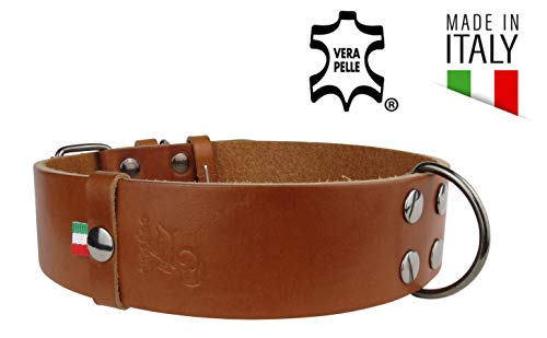 Nuevo Collar de Perro Mediano Grande con Mango (Labrador Golden Retriver Pastor alemán Bulldog Amstaff Pitbull Cachorro Adulto Joven) Cuero Resistente Real (Collar clásico L 43-54 H3.5 cm, Coñac)