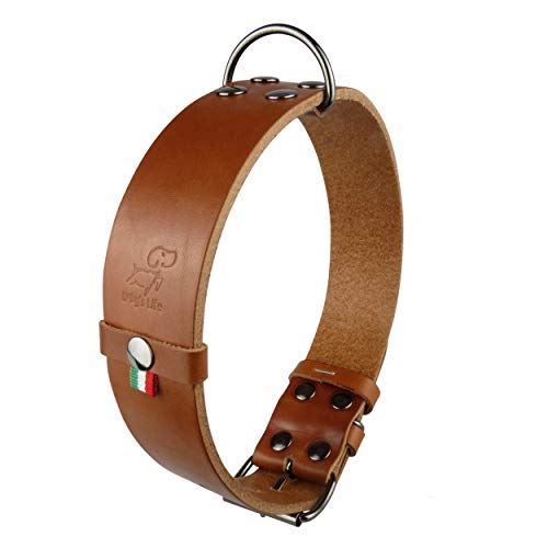 Nuevo Collar de Perro Mediano Grande con Mango (Labrador Golden Retriver Pastor alemán Bulldog Amstaff Pitbull Cachorro Adulto Joven) Cuero Resistente Real (Collar clásico L 43-54 H3.5 cm, Coñac)