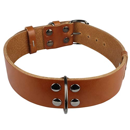 Nuevo Collar de Perro Mediano Grande con Mango (Labrador Golden Retriver Pastor alemán Bulldog Amstaff Pitbull Cachorro Adulto Joven) Cuero Resistente Real (Collar clásico L 43-54 H3.5 cm, Coñac)