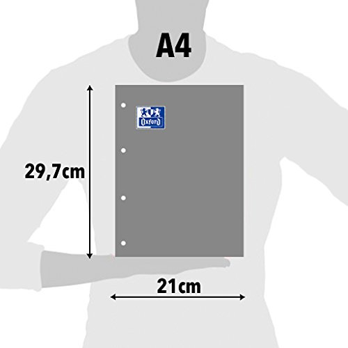 Oxford, Hojas Lisas A4 Perforadas. Recambio Archivador, 100 Hojas Blancas, 4 Taladros