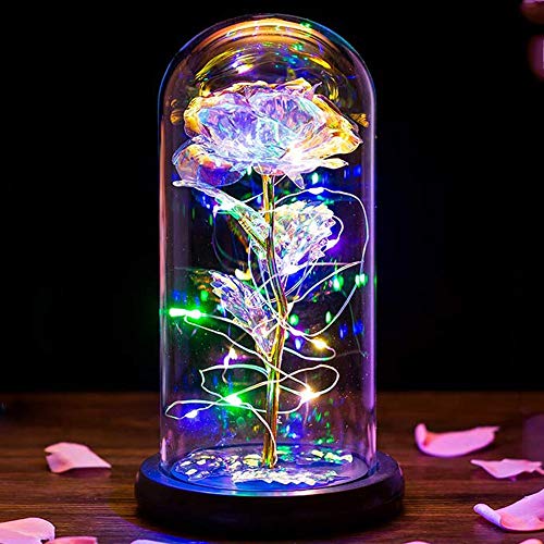 PASDTFB Rosa Eterna La Bella y La Bestia Kit de Rosas Rosa Encantada con Luz LED en Cúpula de Cristal en Base Magicos Decoración para Día de San Valentín Día de la Madre Aniversario Boda Cumpleaños