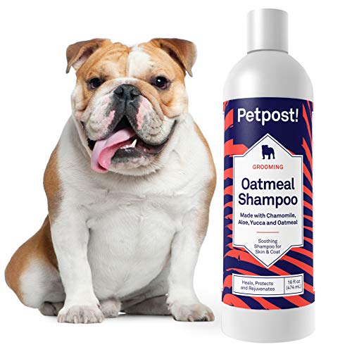 Petpost | Champú De Avena Y Manzanilla para Perros con Piel Seca: Cura, Protege Y Rejuvenece De Forma Natural La Piel Y El Pelaje De Los Perros: Fórmula De Avena, Manzanilla, Aloe Y Yuca (434 ml)