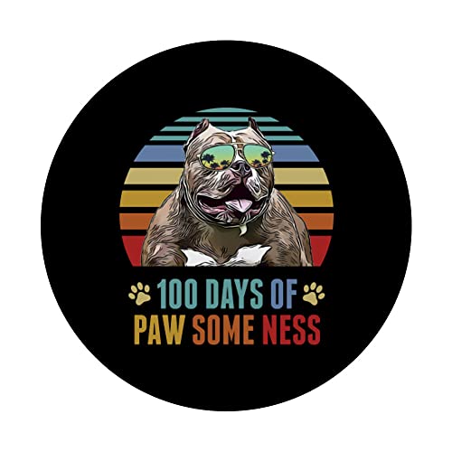 Pitbull Dog 100 Días de Escuela Divertido PopSockets PopGrip Intercambiable