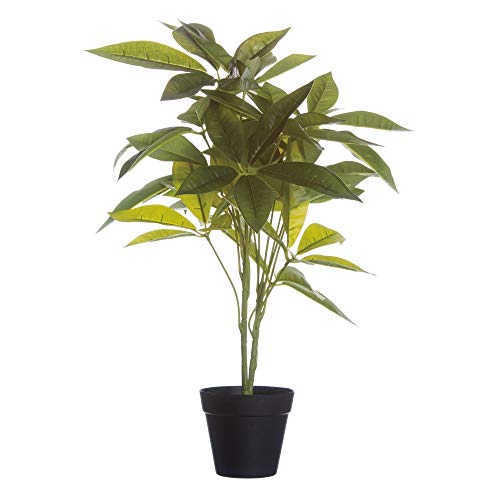 Planta Artificial Árbol de la Fortuna con macetero Verde de PVC de 60 cm - LOLAhome