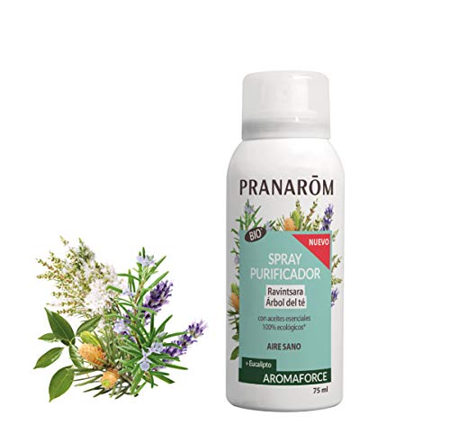 Pranarom - Aromaforce - Spray Purificador Ravintsara Eucalipto Bio, color Ravintsara, 75 ml