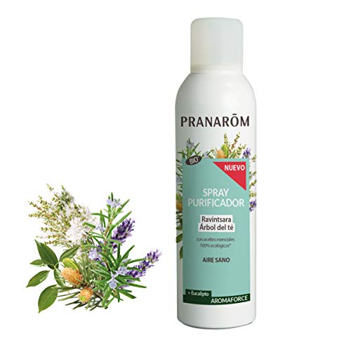 Pranarom Aromaforce - Spray Purificador Ravintsara/árbol Del Té + Eucalipto Bio, color Ravintsara, 150 ml