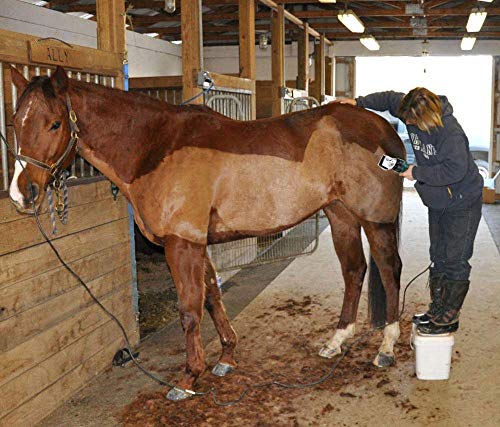 Profesional Maquina de Esquilar para Caballo, Esquiladora Caballos,Esquiladora Profesional 690W Esquiladora Trasquilar peladora Perros, para Caballos, Vacas, Llamas, Y Otros Animales de Pelo Grueso