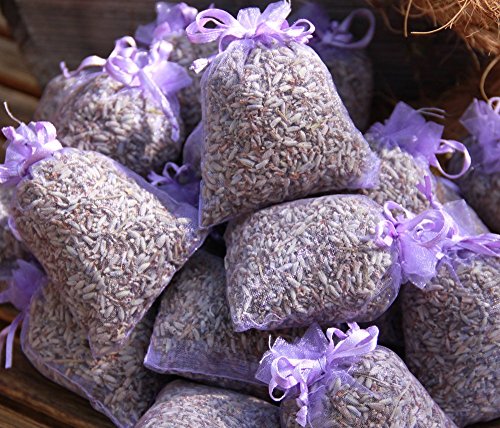 Quertee 10 saquitos/bolsitas - Seca de Lavanda aromática ecológica/Bio/Organic - Total 100g Flores de Lavanda