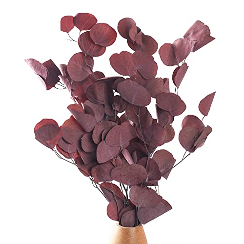 Ramas De Eucalipto, 55*20cm Flores Secas Naturales Ramas De Hojas De Eucalipto Artificiales Ramas De Eucalipto Artificial Dólar De Plata Eucalipto Interior, Comedor, Escaparate, Rojo