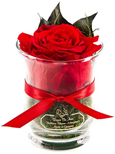 Rosen-Te-Amo | Rosa eterna roja perfumada | Maceta de Vidrio | Caja Regalo refinada || Arreglo Flores preservadas Hecho a Mano con follaje 100% Natural: Regalos Originales Mujer o Decoracion hogar