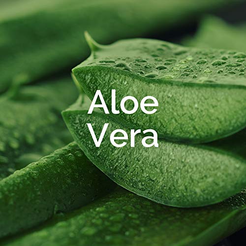 Scholl EXPERTCARE - Mascarilla de cuidado intensivo con aloe vera - Cuidado hidratante - 6 x 1 par de calcetines desechables