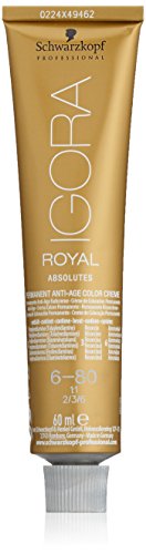 Schwarzkopf Igora Absolutes Tinte Permanente, Tono 6-80 - 60 ml