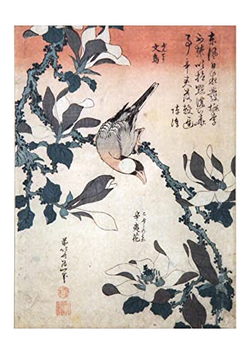 Spiffing Prints Katsushika Hokusai - Póster con diseño de gorrión y magnolia, extra grande, mate de archivo, sin marco