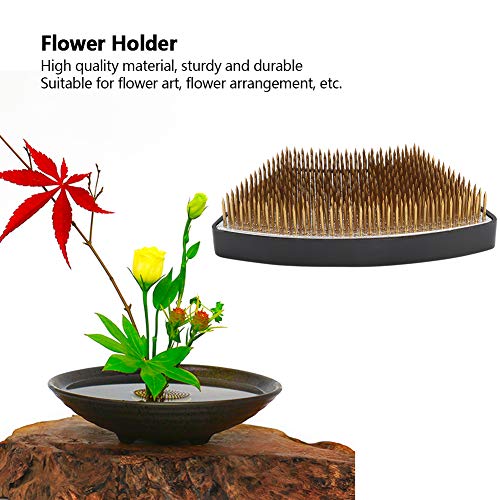 TAKE FANS Arc-Shaped Flower Kenzan Holder Flor Arreglo Aguja Pin Arreglo Accesorios De La Herramienta De Arreglo, L