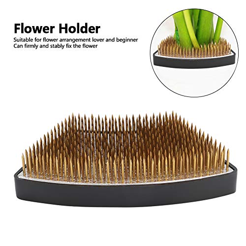 TAKE FANS Arc-Shaped Flower Kenzan Holder Flor Arreglo Aguja Pin Arreglo Accesorios De La Herramienta De Arreglo, L