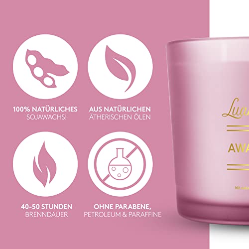 Vela aromática de 3 mechas de Luana Rose, set de regalo - Vela 100% de cera de soja - Velas perfumadas con tapa de madera - Vela aromática - Vela de regalo - Velas en vaso para aromaterapia Candle