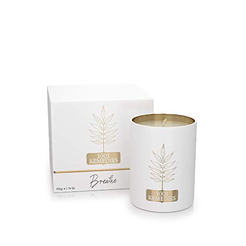 1001 Remedies Vela Perfumada Breathe - Velas navideñas frescas perfumadas con aceites esenciales de pino, eucalipto y lavanda - 100% natural, cera orgánica, 220 g