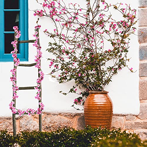 2 Piezas 180cm Guirnalda de Flores de Cerezo Artificiales Colgante Vines Flores de Seda Guirnaldas de Vid Colgante Flores Artificiales con Hojas para Familiar la Fiesta Jardín Boda Navidad Decoración