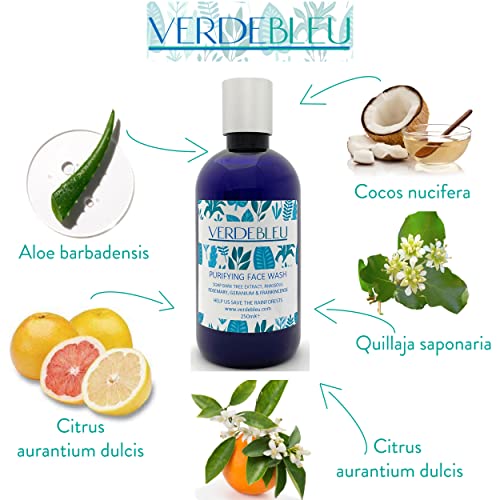 99% Natural GEL JABÓN FACIAL - ALOE VERA, NARANJA Y POMELO - 250ml de VERDEBLEU. Sin Sulfatos, Sin Parabenos. pH 5.5 Equilibrado. Donamos el 5% de Ganancias para Ayudar a Salvar los Bosques Lluviosos.