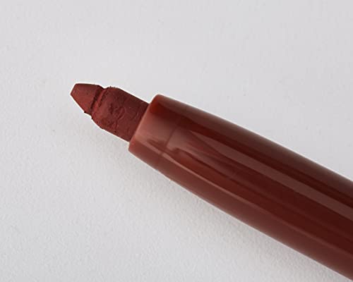 Absolute Ny Perfilador de labios perfect wear black cherry 21 g